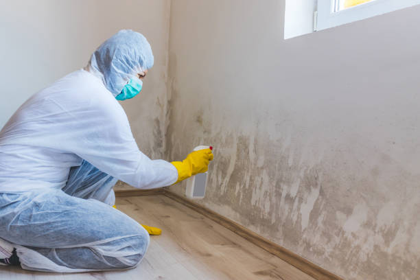 Bathroom Mold Removal assessment in Livingston bathroom